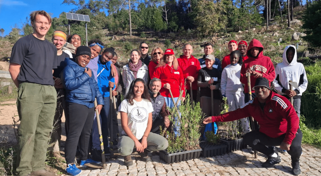 Equipa de voluntários plantam árvores