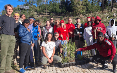 Ação de voluntariado no Parque Natural de Sintra-Cascais